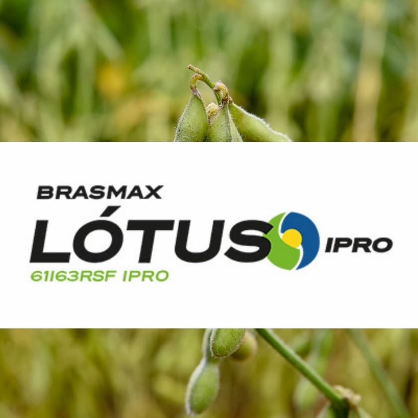 BRASMAX - Produtos - Vigorar Agrícola